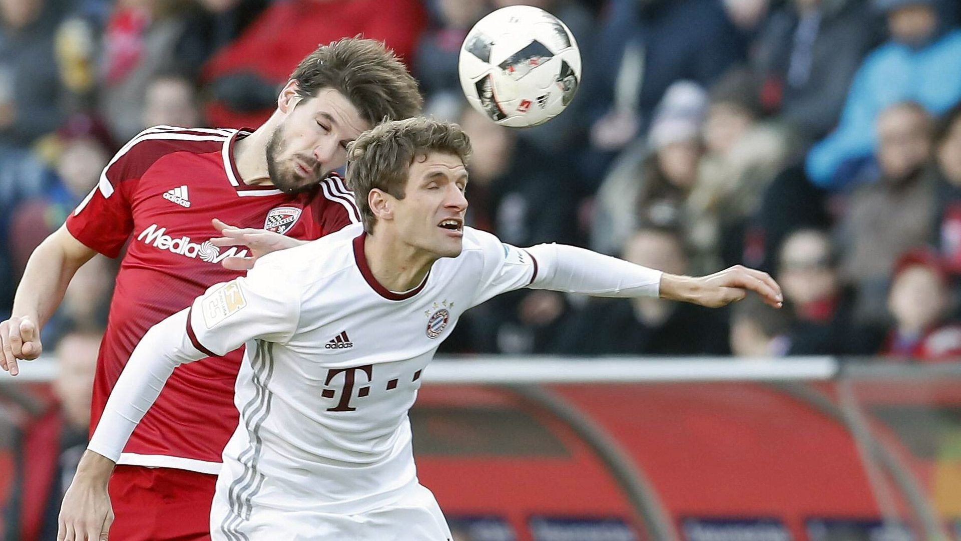 构成了全能 构成了全能